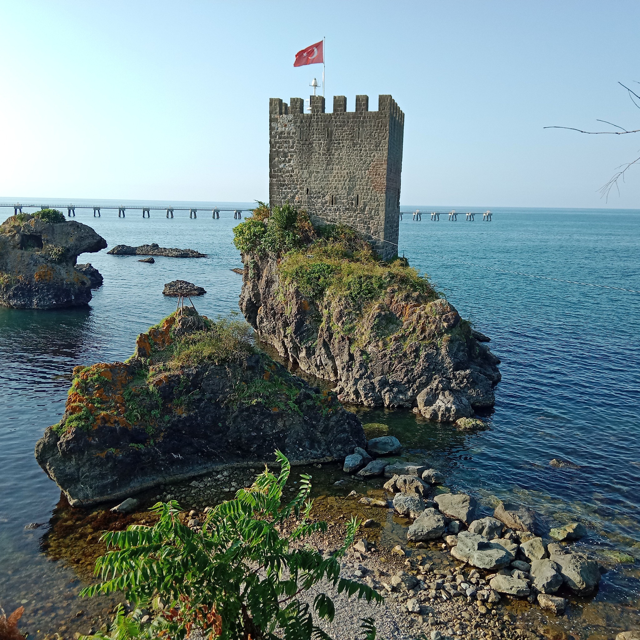 Lütfü KOBAL